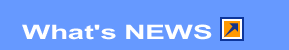 What's NEWS
